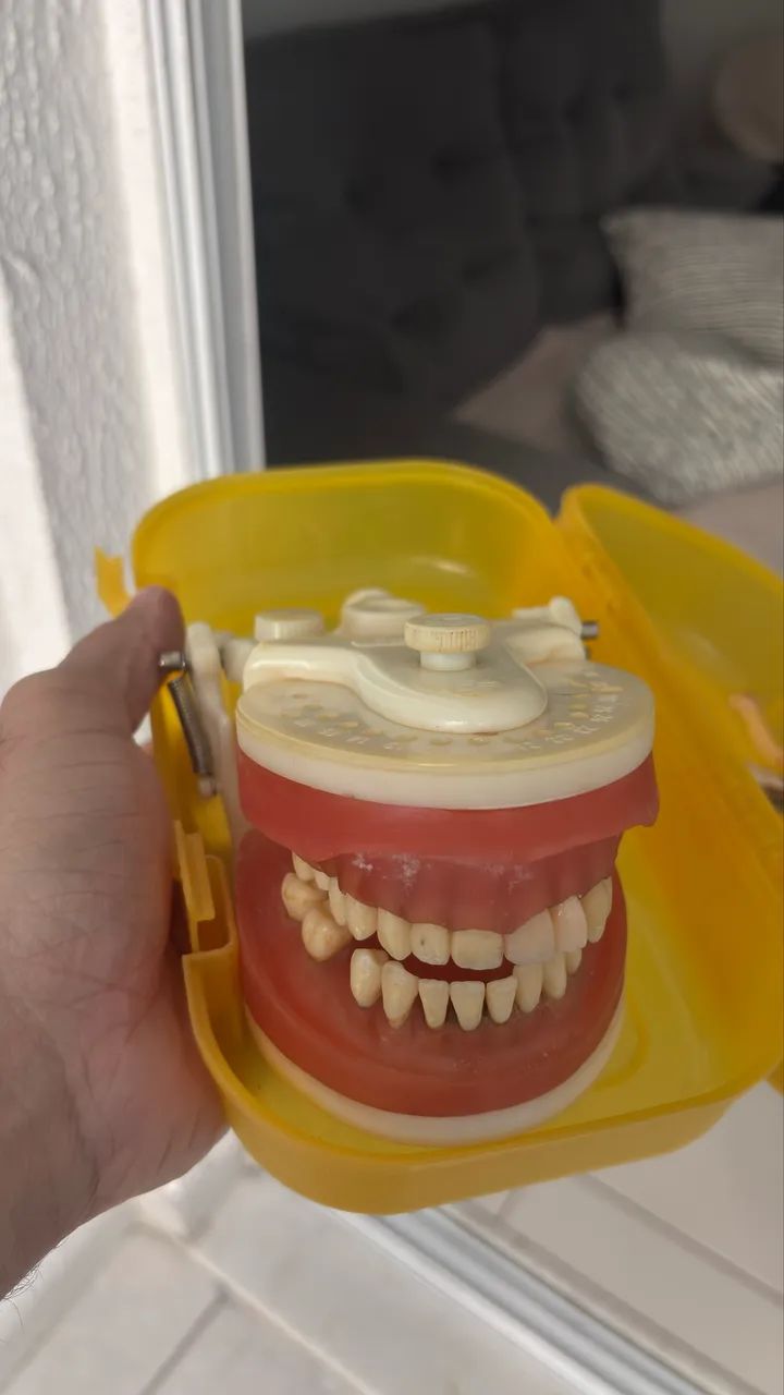 Manequim Periodontia Pronew  - Foto 2