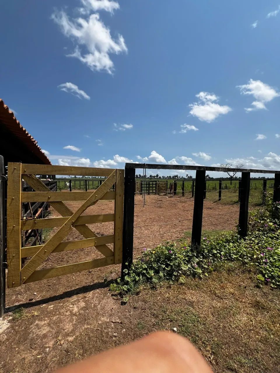 Fazenda com 830 Hectares próxima de Santa Inês - Foto 4