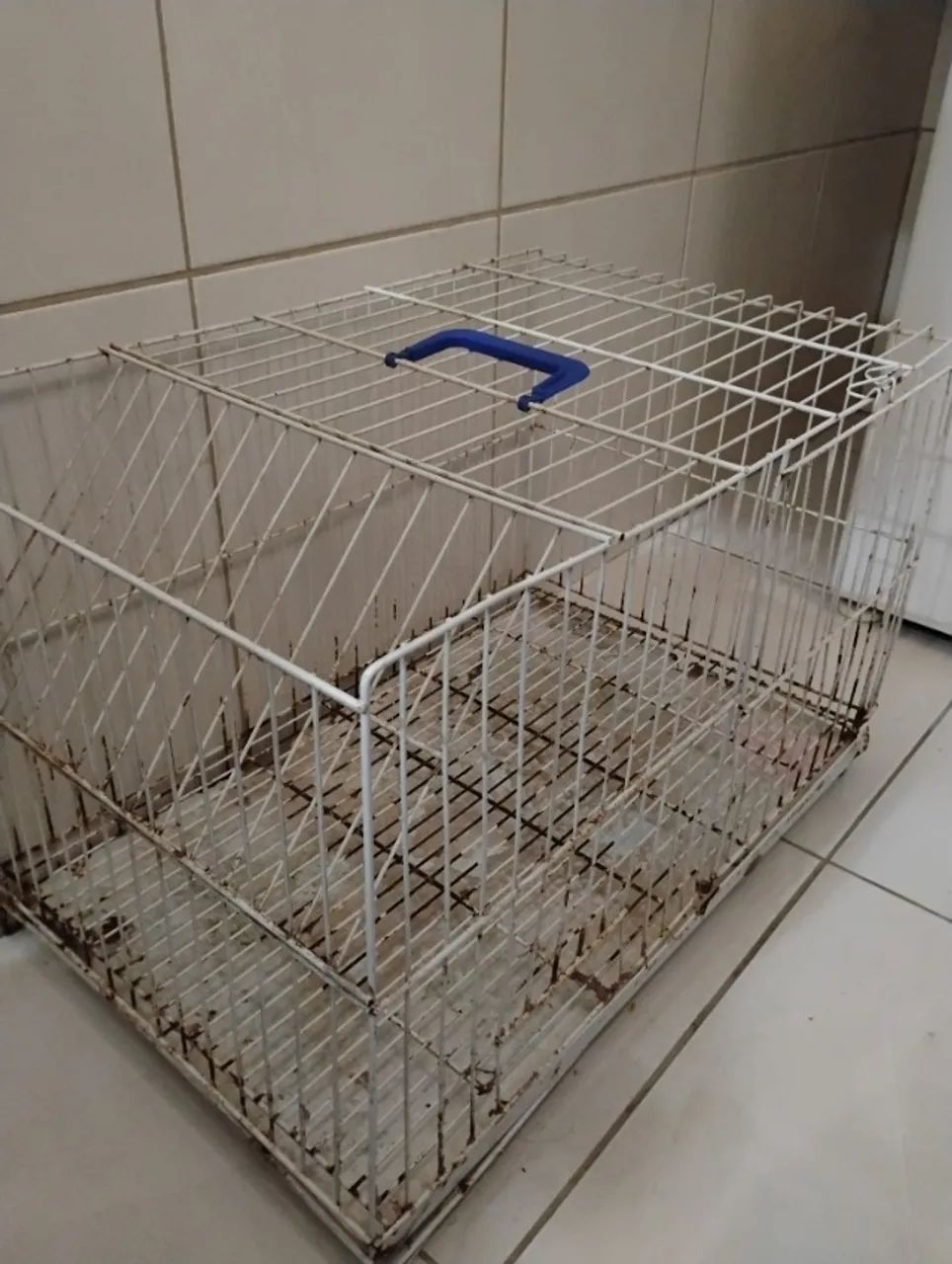 Gaiola de coelho - Foto 2