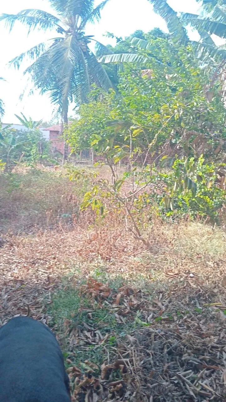 Terreno 12×30  - Foto 4