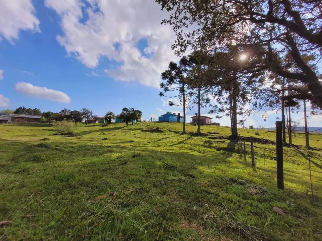 CAXIAS DO SUL - Terreno Padrão - ANA RECH - Foto 9