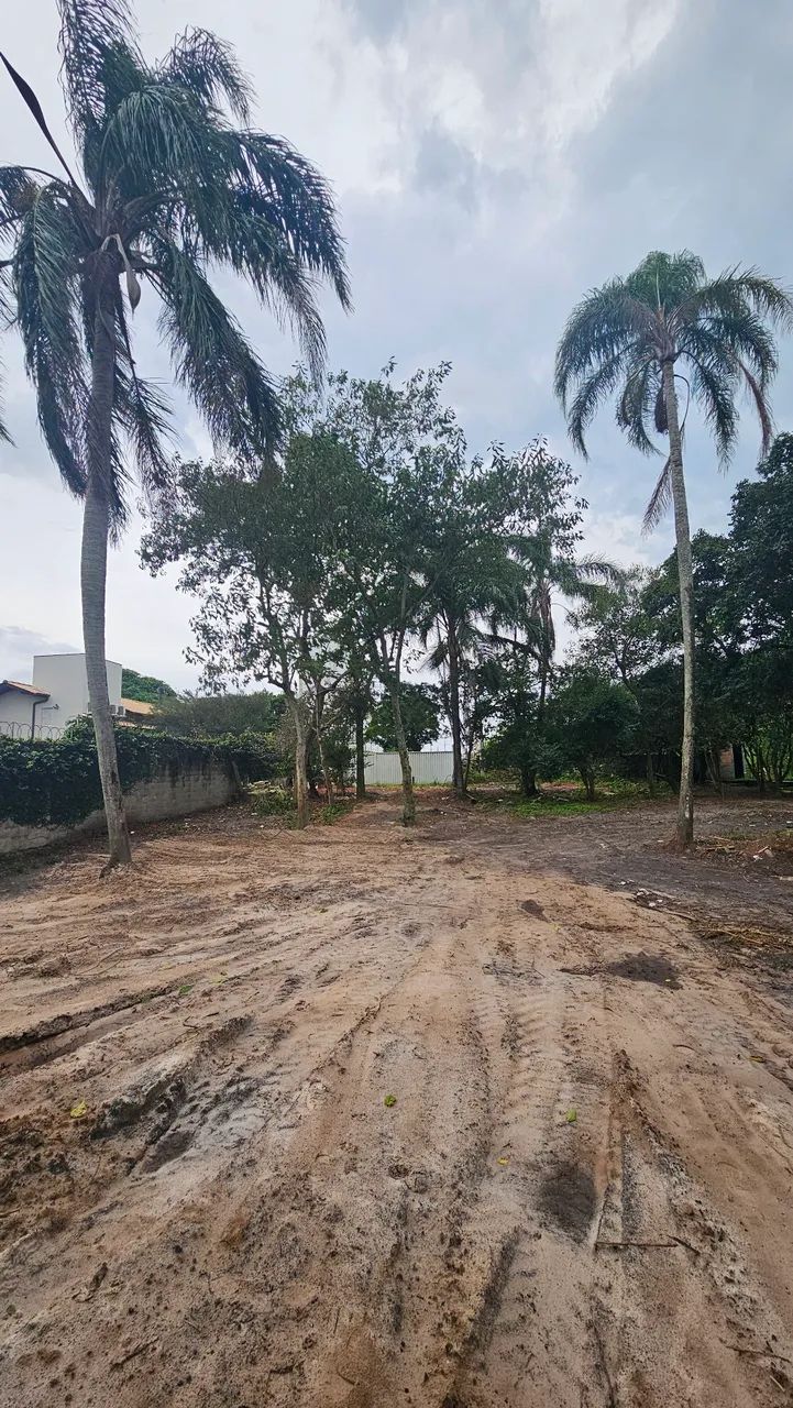 Terreno 1.000m² para Locação no Campeche | Energia Trifásica