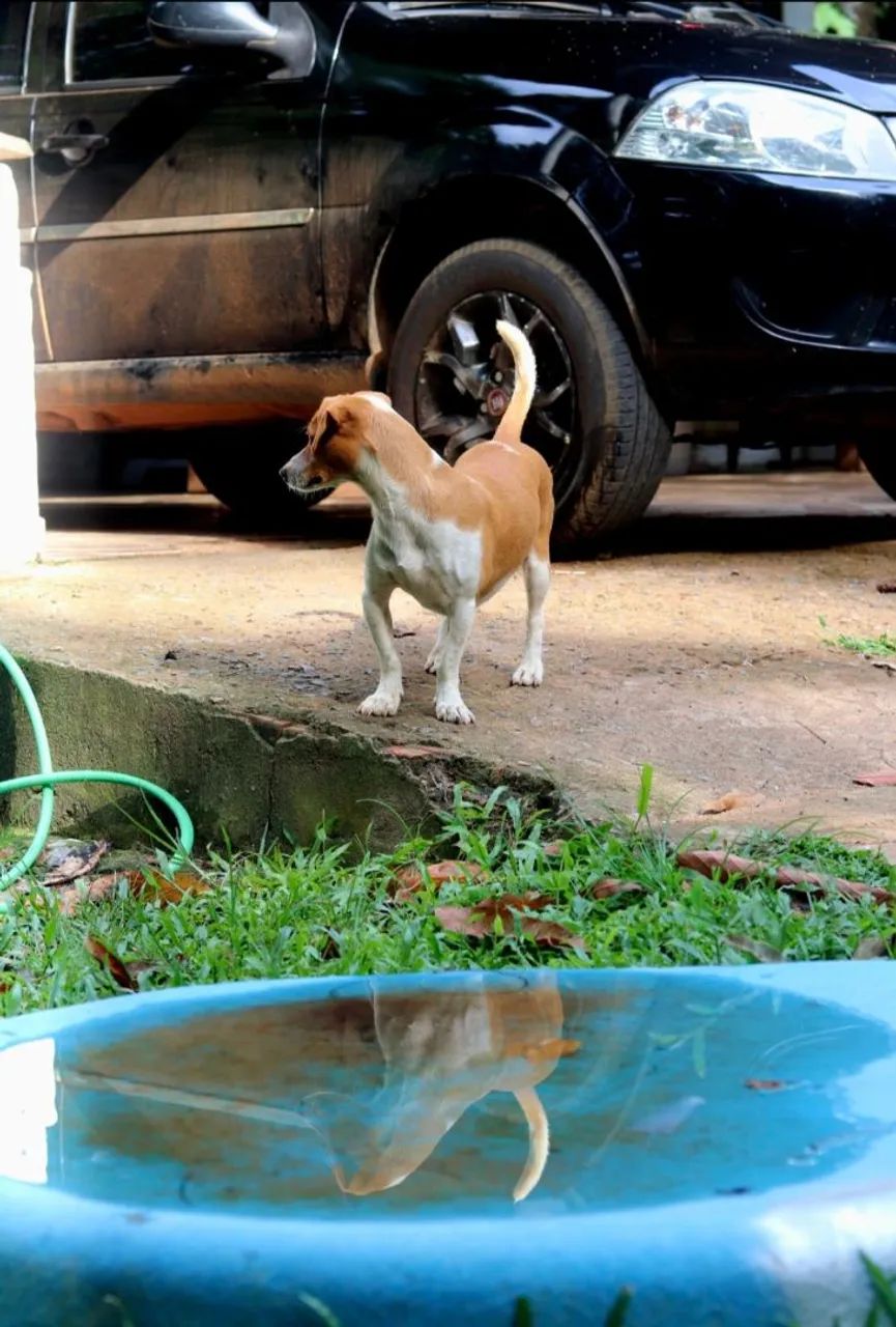 Doação  - Foto 4