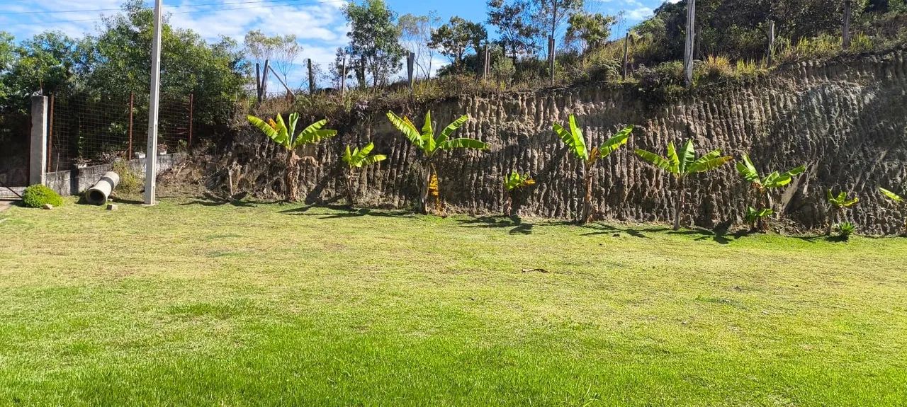 Venda chacara  - Foto 5