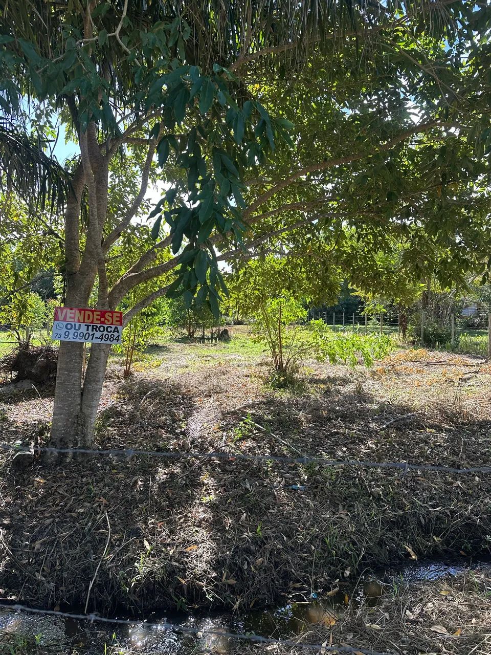 Venda de terreno - guaiu Cabrália  - Foto 2