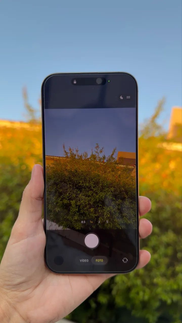 iphone 16 pro max (256gb)