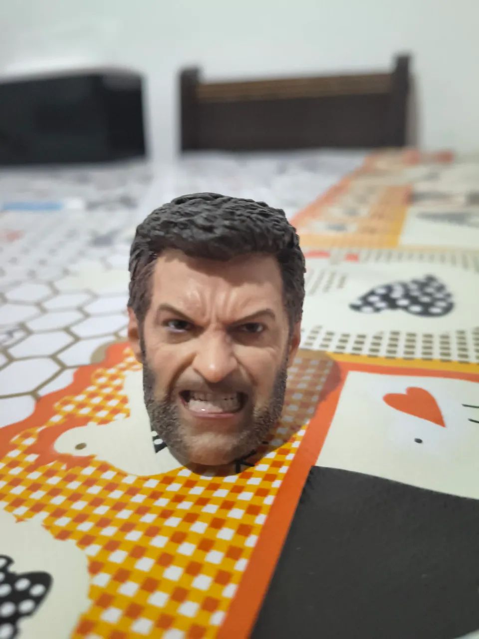 Head Old Logan 