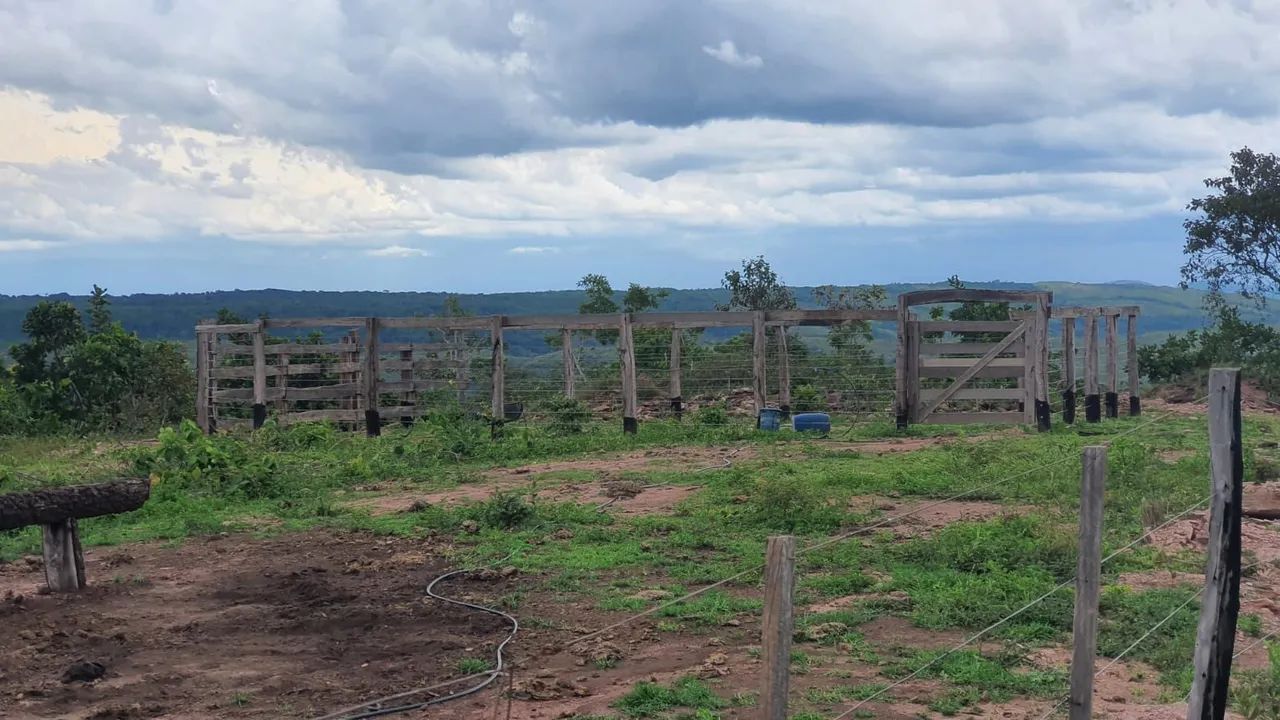 Vendo sítio aproximadamente 100 hectare 70km Cuiabá região manso.  - Foto 3