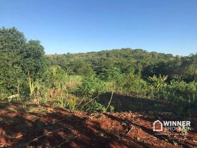 Chácara 3.000m2 - Foto 2