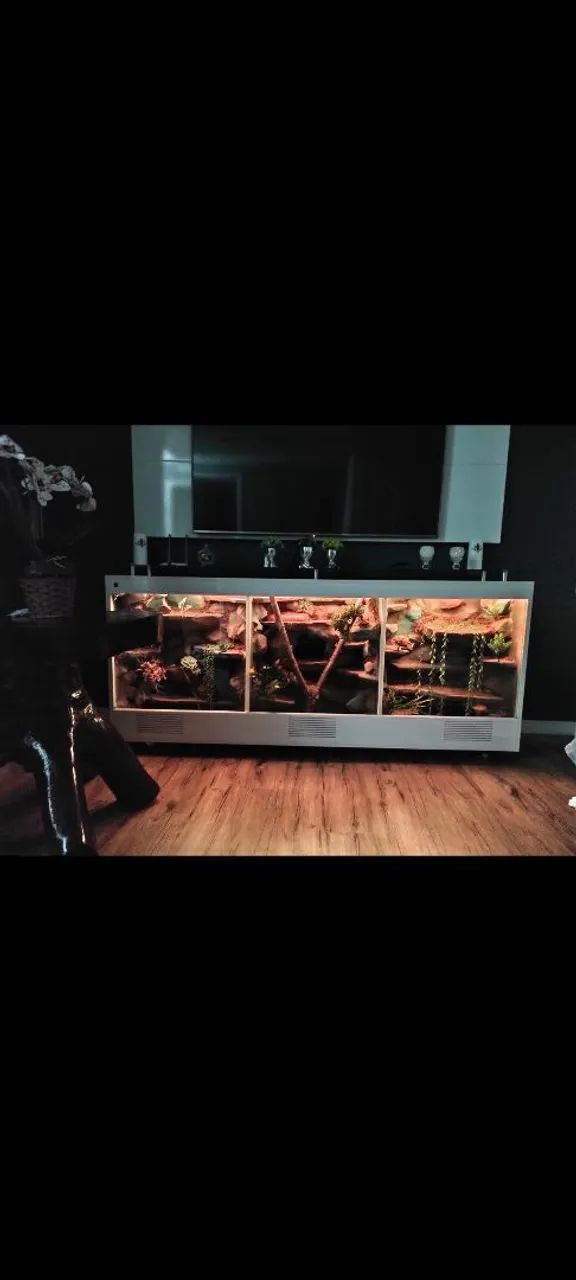 Terrário para répteis 
