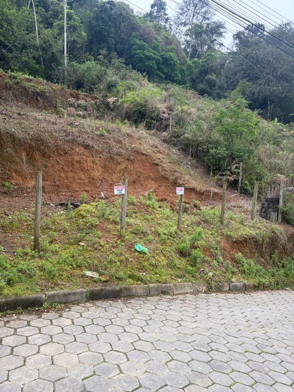 Terreno 