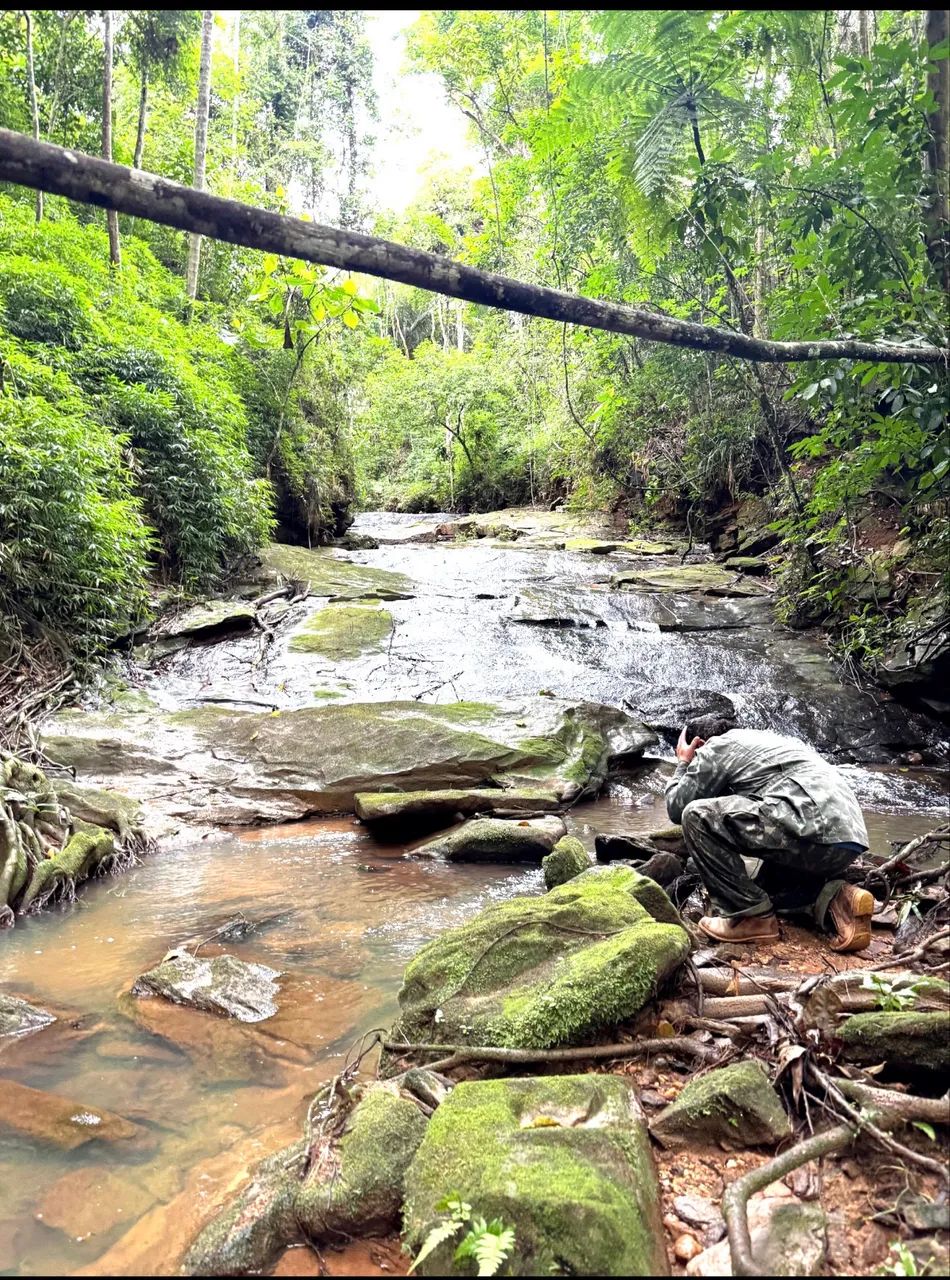 Quer morar na roça e perto da cidade ??  - Foto 3
