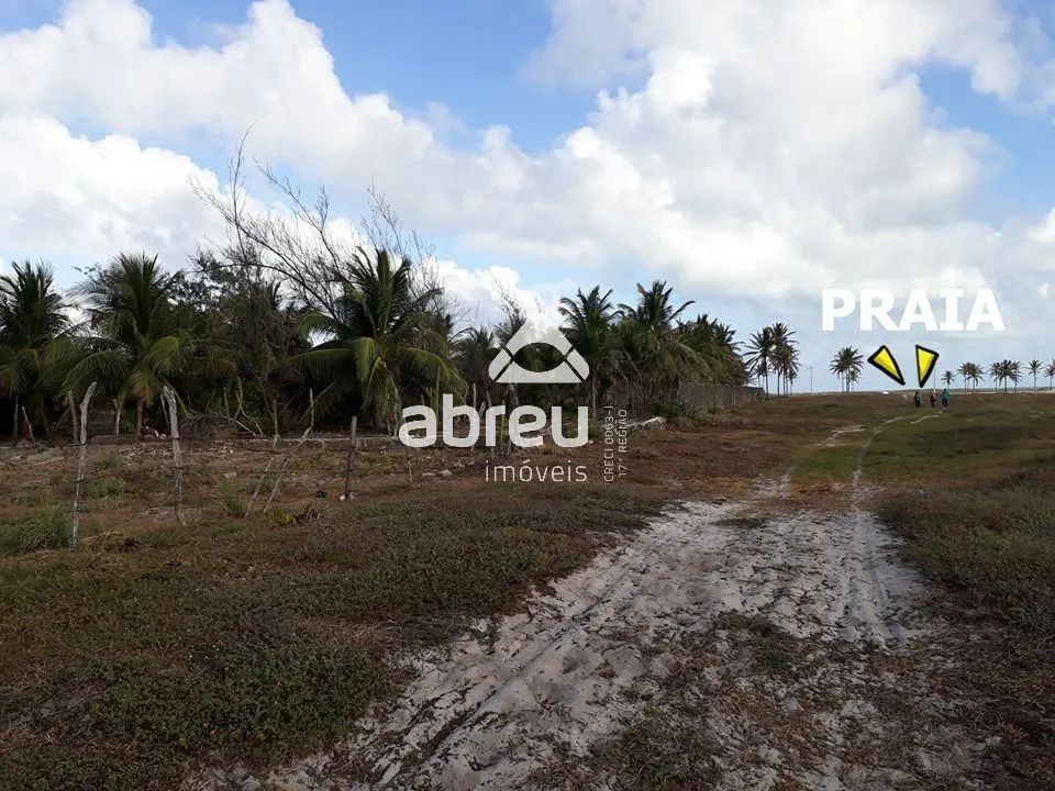 Terreno Padrão em Extremoz - Foto 5