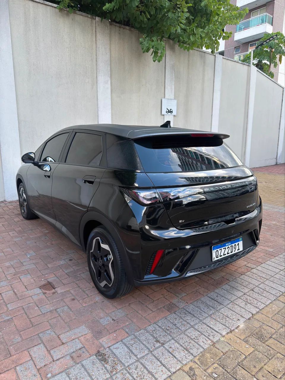 BYD Dolphin EV (Elétrico) 2024 - Foto 3