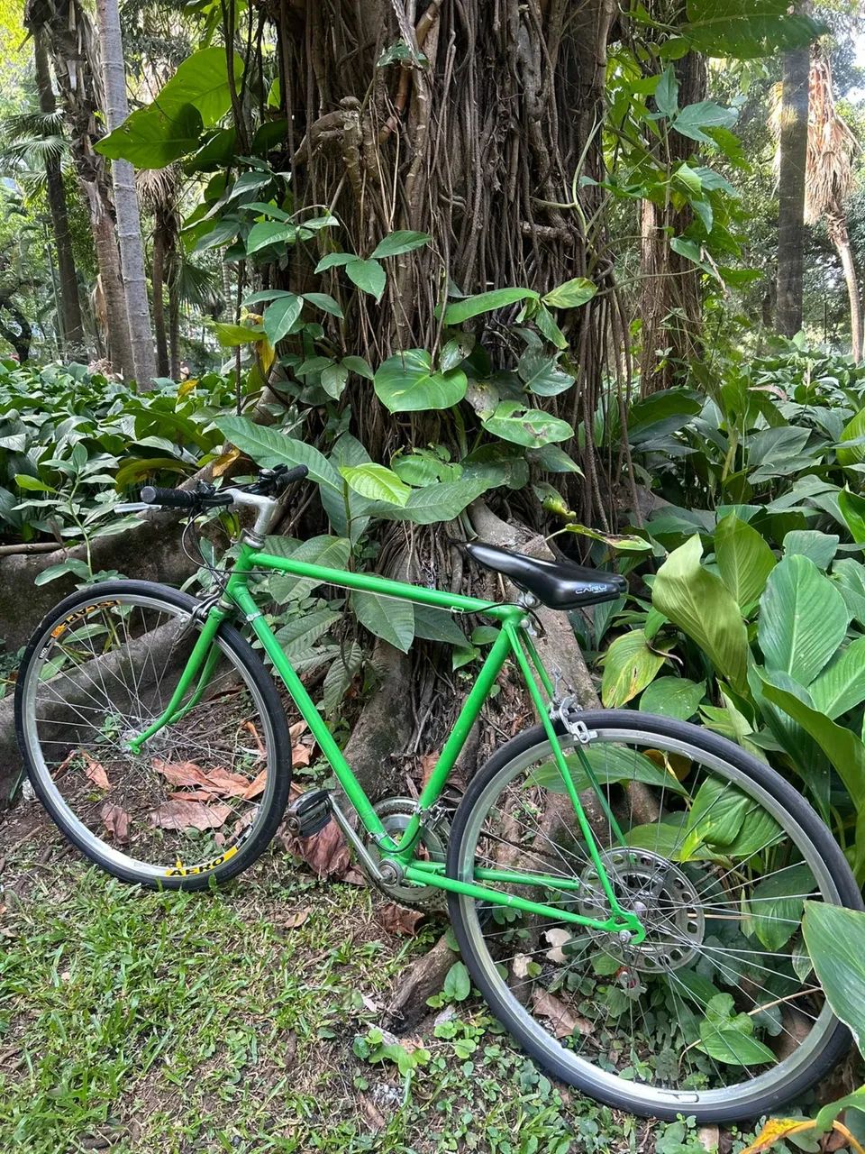 Bicicleta Caloi 10 