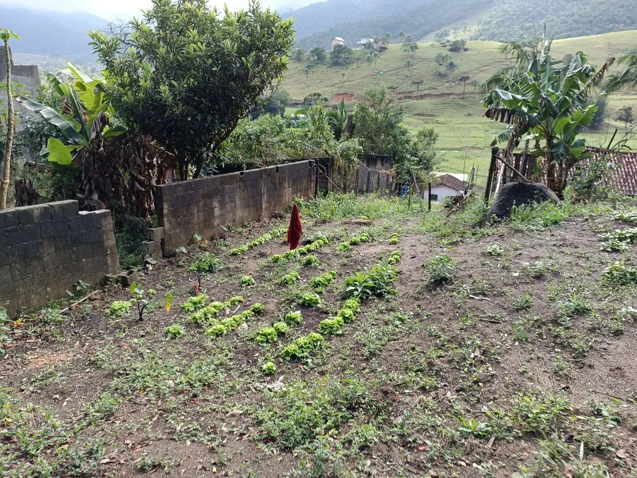 Foto - Governador Celso Ramos - 