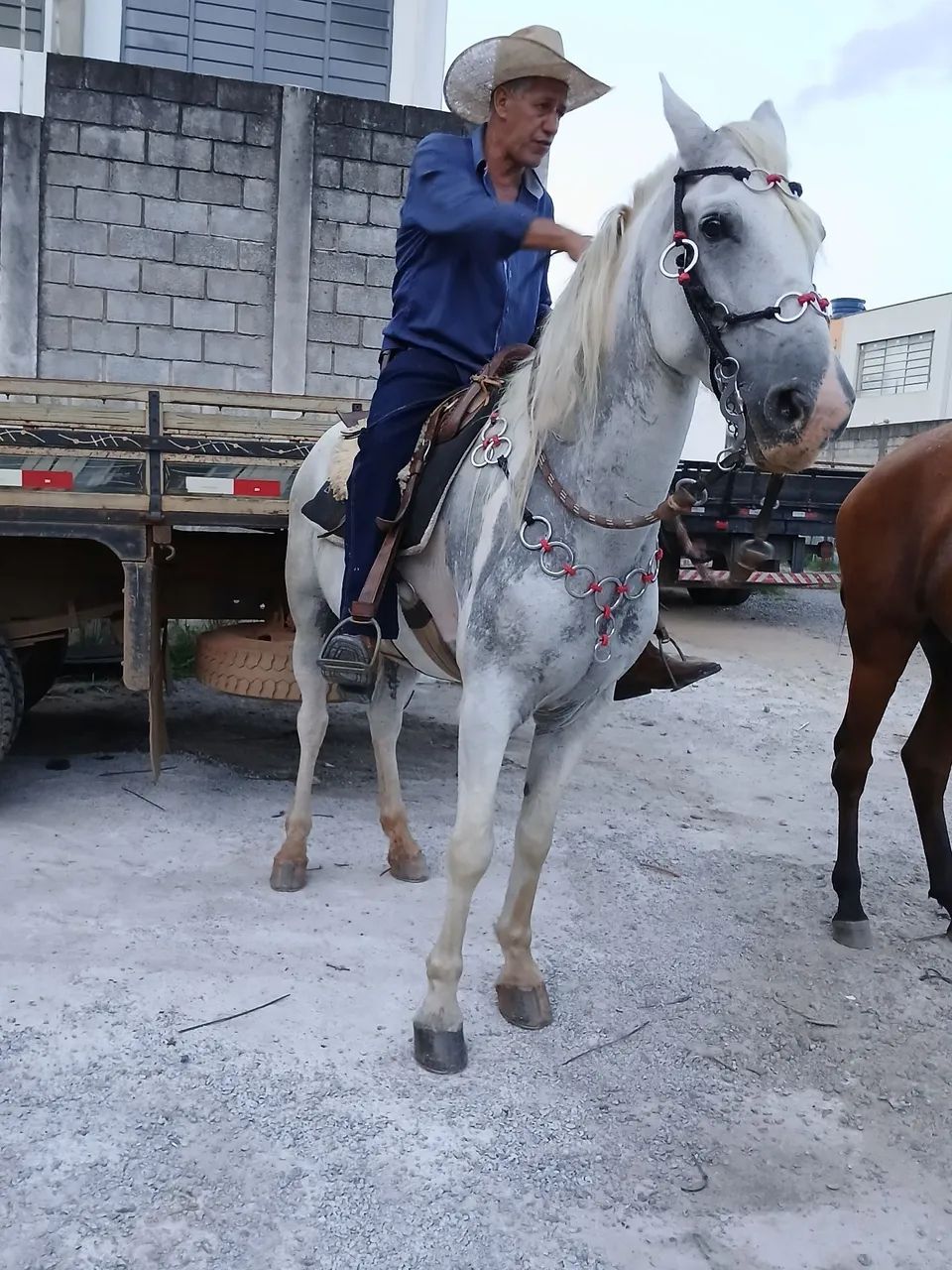 Cavalo MM bom de sela - Foto 2