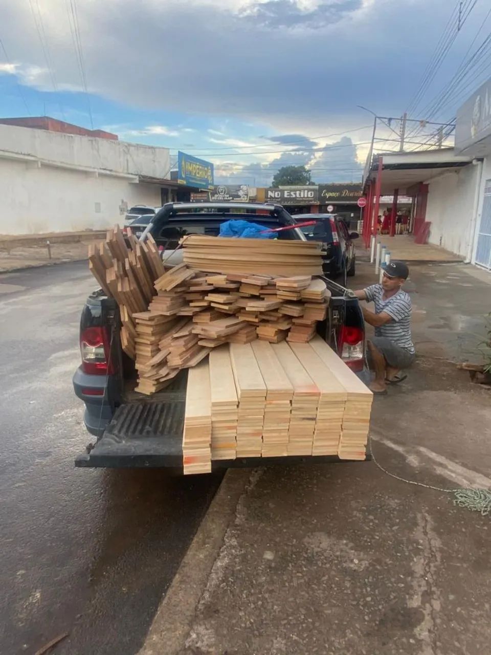 Árvores para decoração  - Foto 3