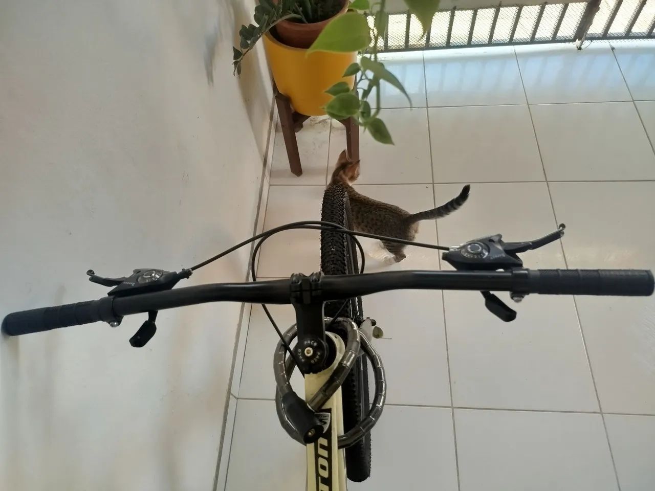 bicicleta  - Foto 5