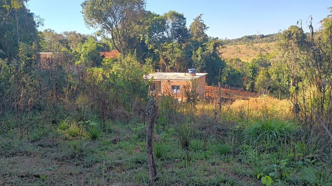 Lote em igarapé  - Foto 5