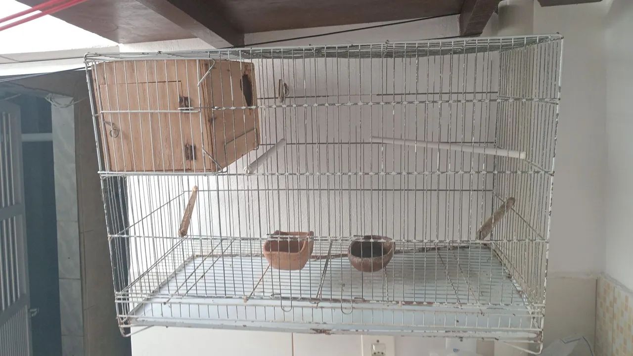 Gaiola 
