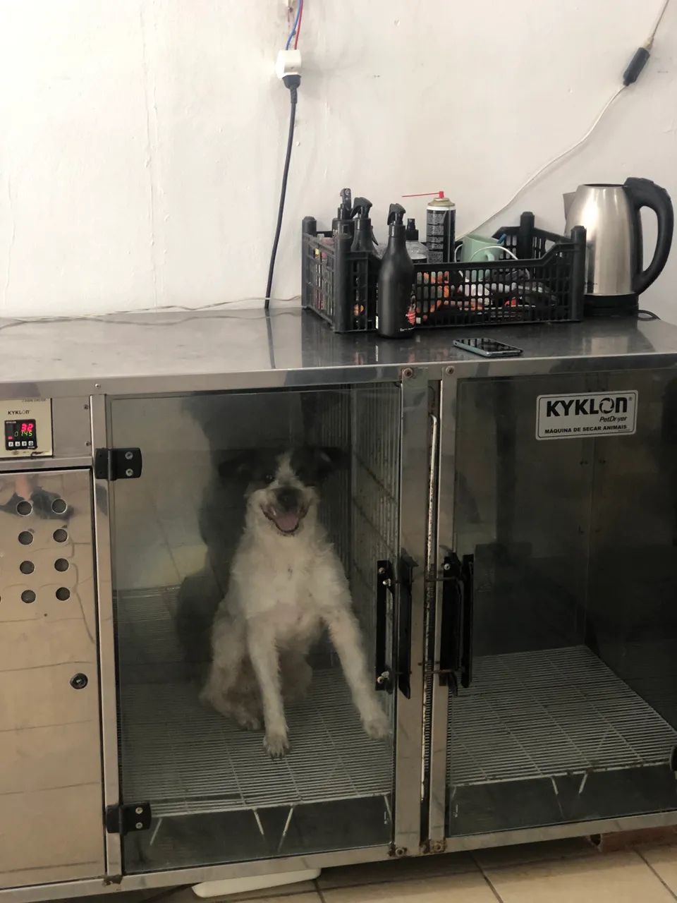 Banho e tosa em funcionamento  - Foto 5