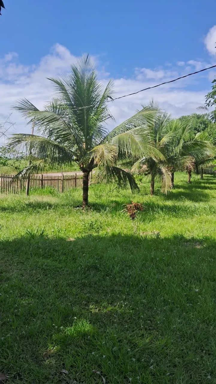 Chácara no Bujari  - Foto 5