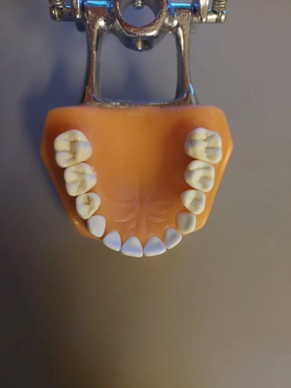 Manequim Odontopediatria Mom (Usado) - Foto 3