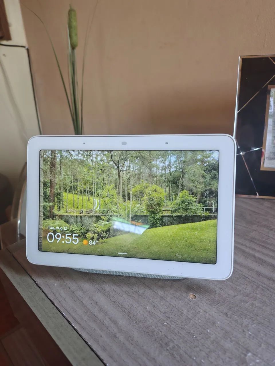 Nest Hub