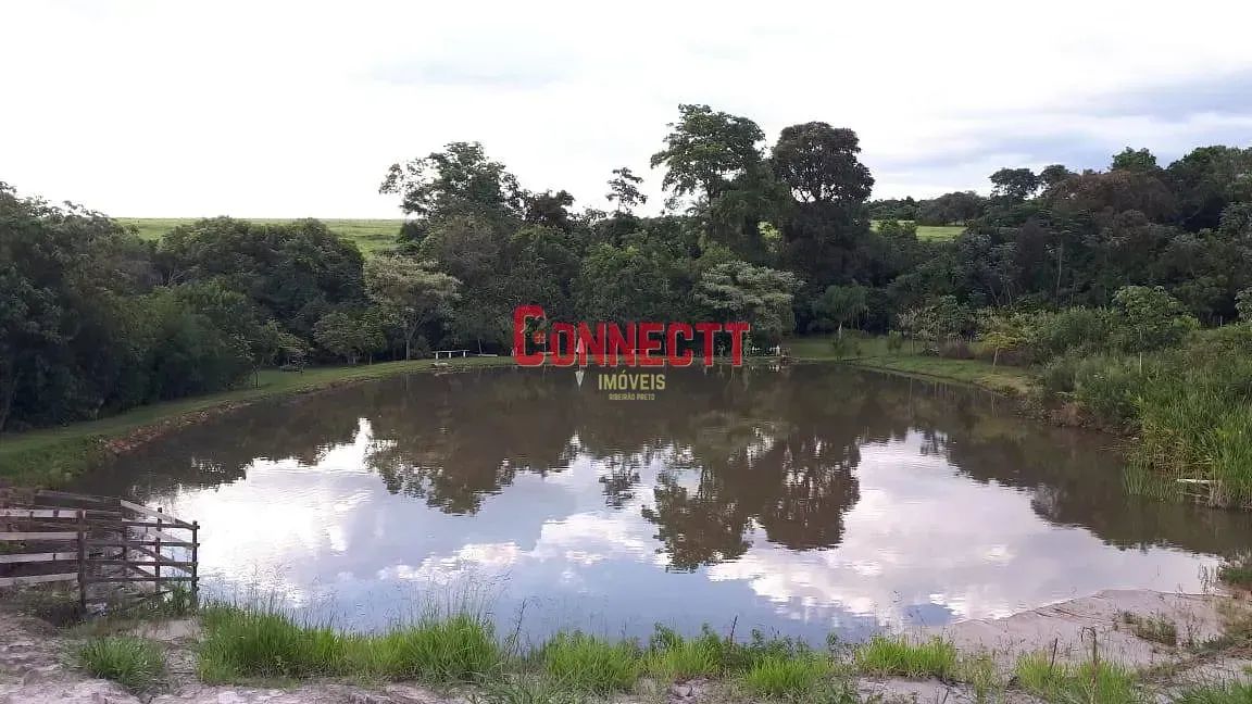 Sítio à venda, Cajuru, SP - Foto 5