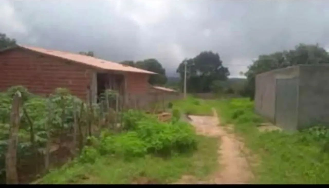 Lote  - Foto 2