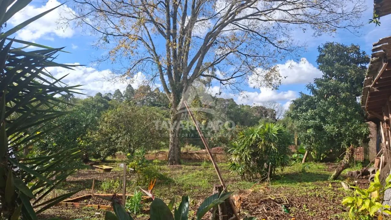 Comercial Prédio em Ponta Grossa - Foto 5