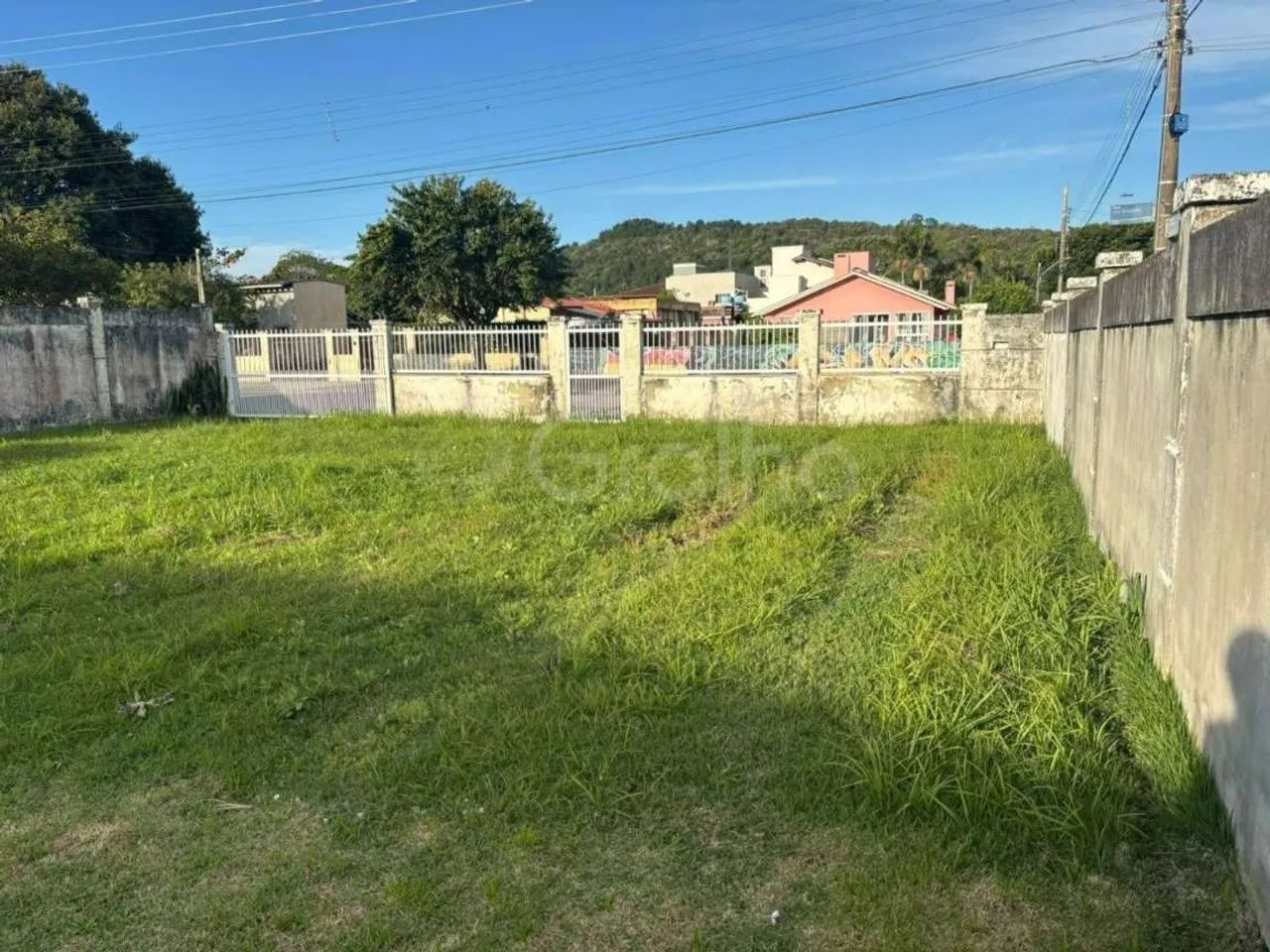 Terreno para Venda em Florianópolis, Daniela - Foto 5