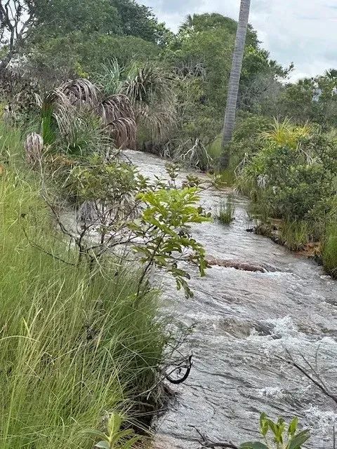 Fazenda Zona Rural - Foto 3