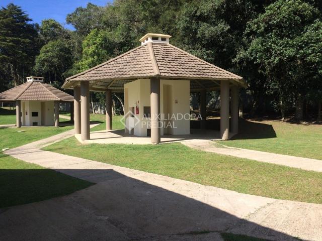 Apartamento para alugar com 2 dormitórios em São luiz, Canela cod:299218 - Foto 18