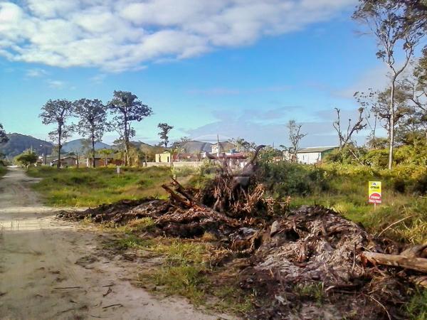 Terreno à venda em Cohapar, Guaratuba cod:125331 - Foto 7