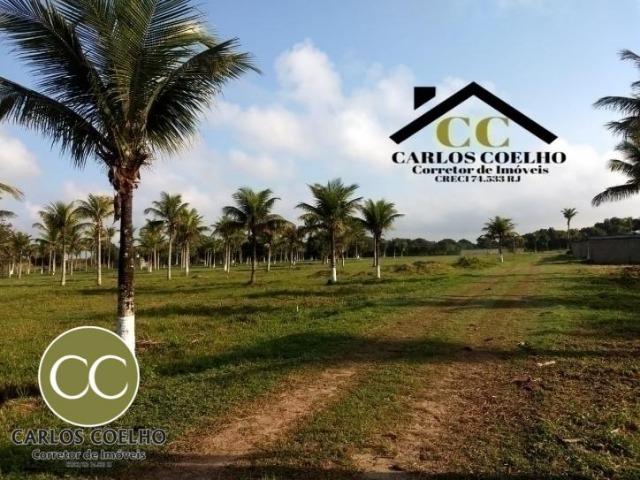 CMG Cód -138 Excelentes Terrenos Próximo ao Trevo de Búzios - Foto 12