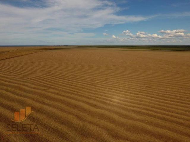 Fazenda à venda, 12650000 m² por r$ 16.000.000 - vila rica - barreiras/ba - Foto 4