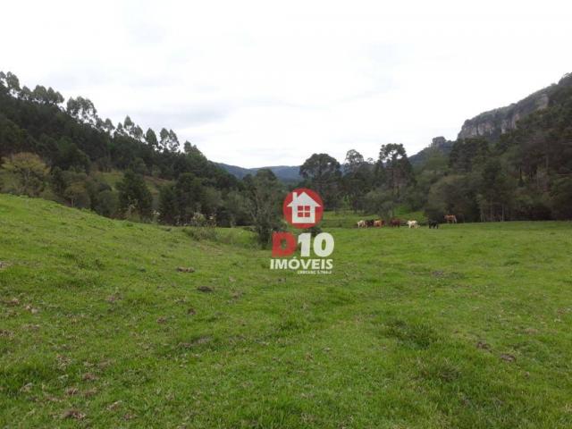 Terreno de 30 alqueires em ponte alta - sc - Foto 11