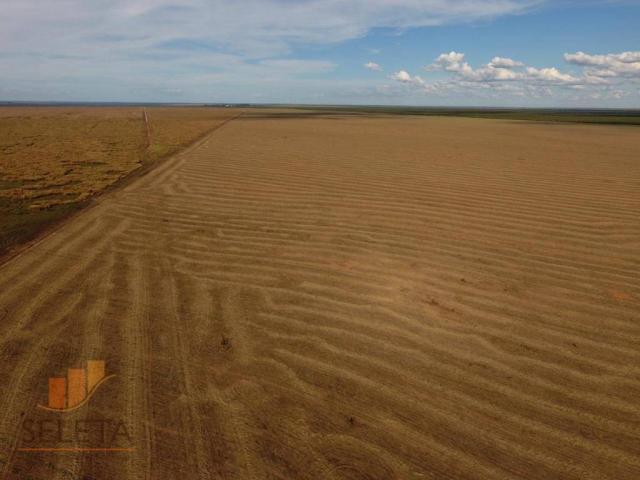 Fazenda à venda, 12650000 m² por r$ 16.000.000 - vila rica - barreiras/ba - Foto 3