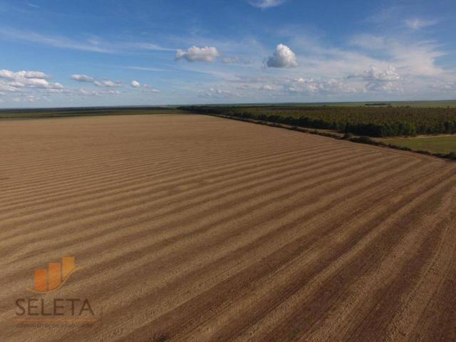 Fazenda à venda, 12650000 m² por r$ 16.000.000 - vila rica - barreiras/ba