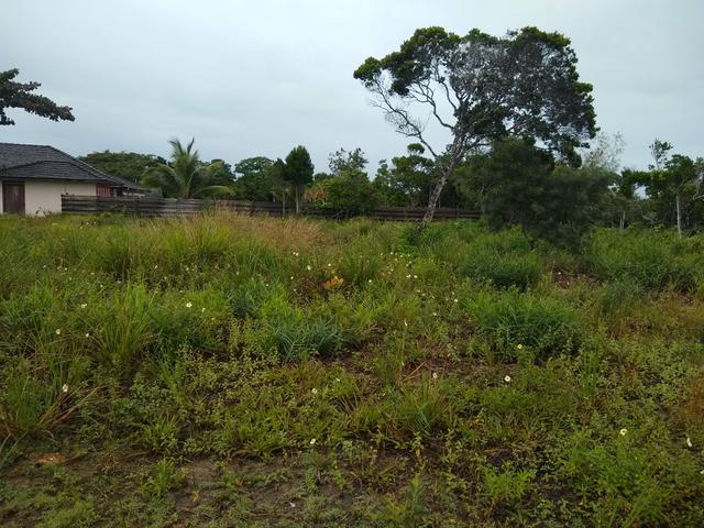Área de Luxo, Esse Preço É Por Tempo Limitado Aproveite!! - Foto 18