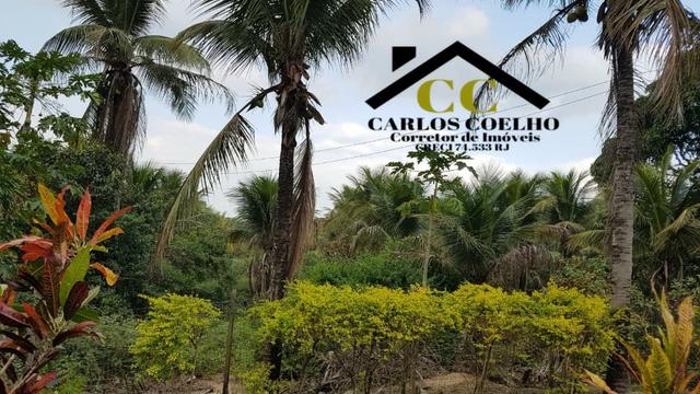 CMG Cód: 20 Maravilhoso Sítio em Rio Dourado ? Rio das Ostras - Foto 9