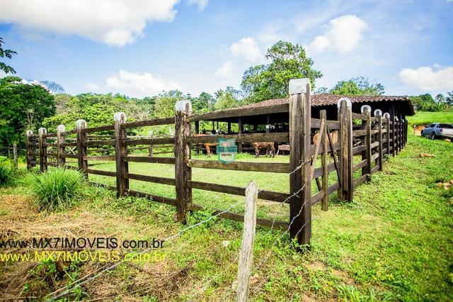 Ubaitaba. Fazenda de 50 Hectares a 4 km do asfalto. - Foto 15