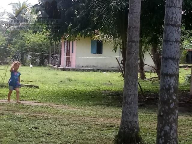 197 - Belíssimo sitio Situado No Jardim Neópolis Venda R$200.000,00 - Foto 9