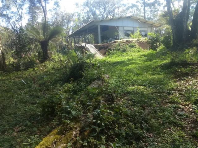 8287 | chácara à venda em guarapuava - Foto 5