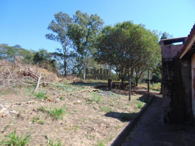 Chácara à venda - Porto Rico Paraná - Foto 3