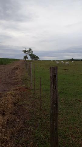 Sitio Arrendamento Oportunidade - Foto 11