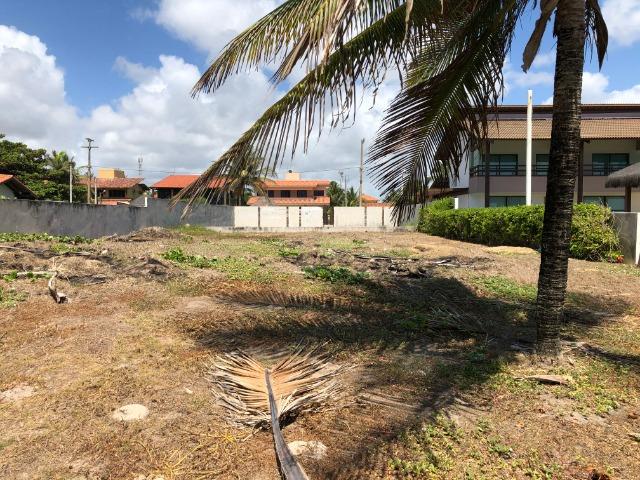 Excelente Lote 16X40 beira-mar, Porto de Galinhas Ipojuca/PE - Brasil - Foto 6