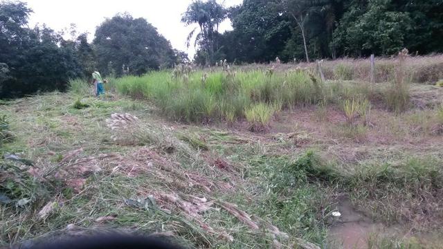Terreno show - Foto 3